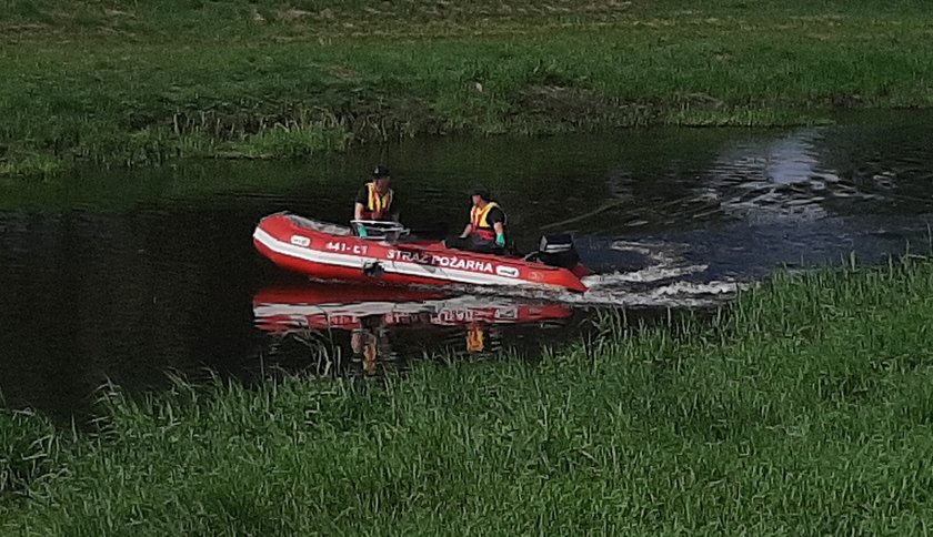 Wyniki badań po odnalezieniu śniętych ryb w rzece Ner. Optymistyczne wieści dla mieszkańców regionu łódzkiego!