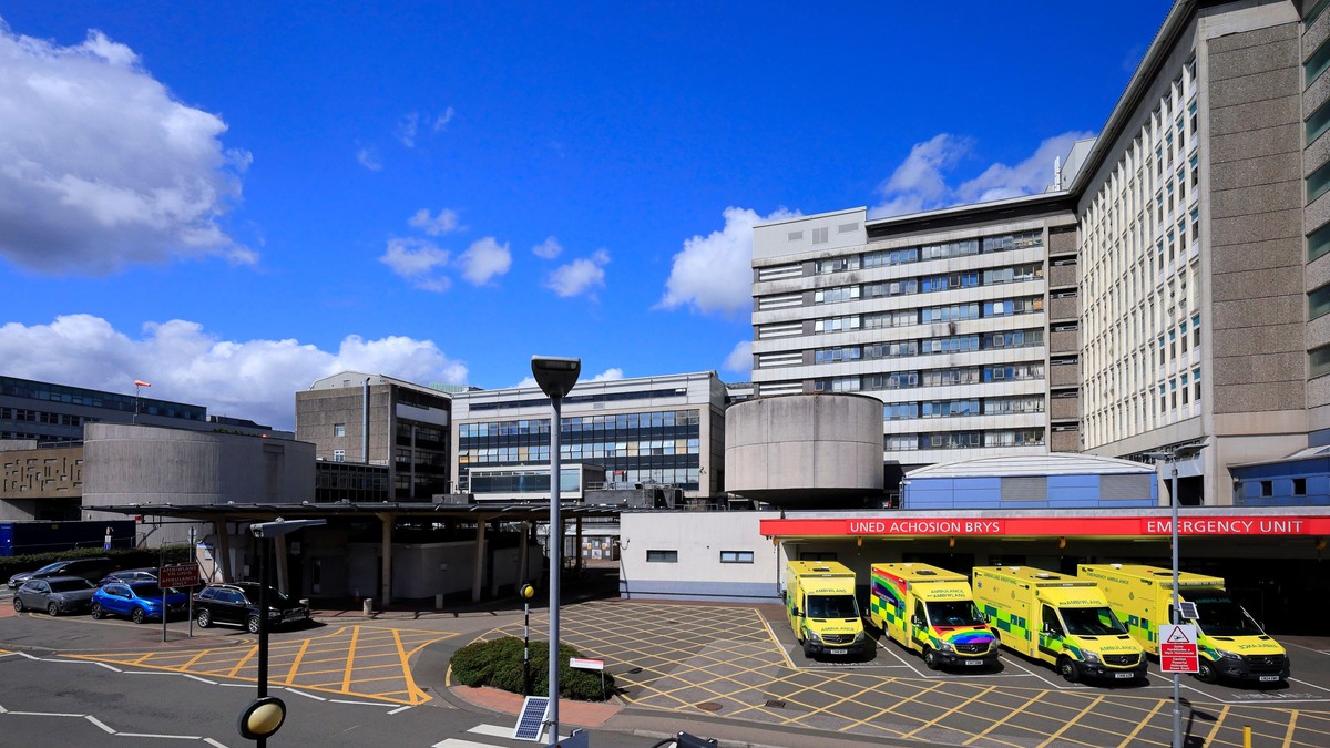 Univerzitetska bolnica Vels u Kardifu 