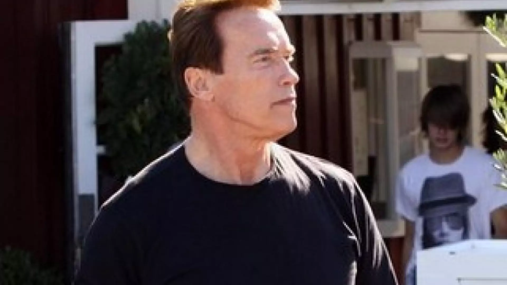 Arnold Schwarzenegger - Albumy fanów