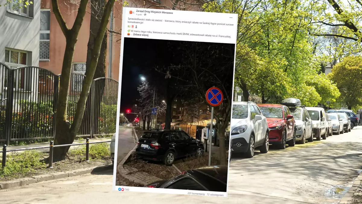 Kierowca zaparkował na pasie zieleni w Warszawie (Screen: Facebook.com/@ZDM.Warszawa)