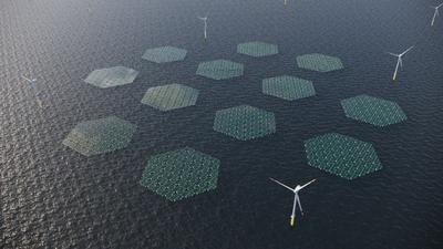 Illustration of an Offshore Wind Farm combined with floating solar, which will be constructed by Anansi off the coasts of Ningo and Anloga