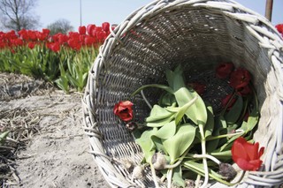 Rozliczenia podatkowe pracy sezonowej wykonywanej w okresie wakacyjnym