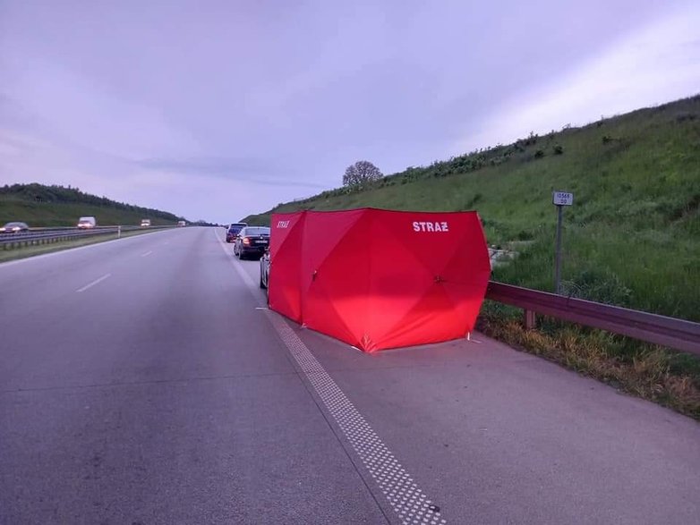 Śmiertelny wypadek na A1. Zderzenie samochodu z łosiem