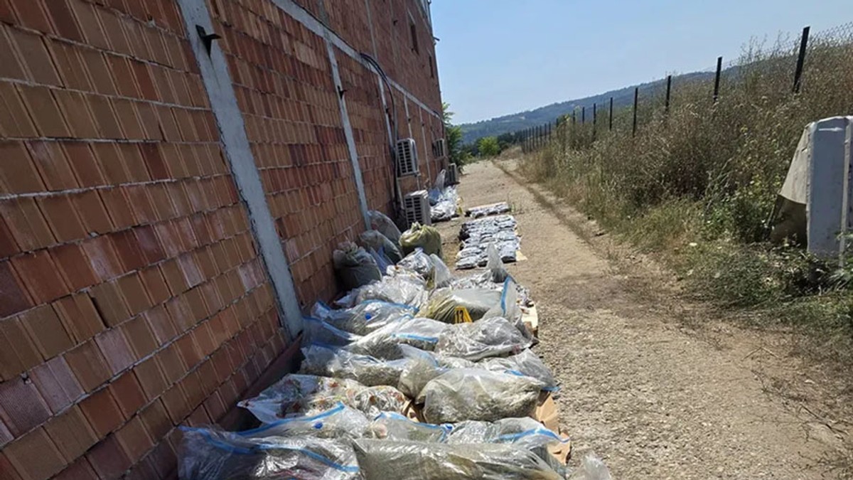 Zaplena pola tone droge