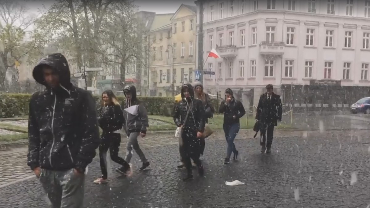 W Trójmieście, ale też na przykład Słupsku pada dzisiaj śnieg. Mieszkańcy się dziwią, ale synoptycy w rozmowie z Onetem podkreślają, że taka pogoda w maju nie jest niczym wyjątkowym.