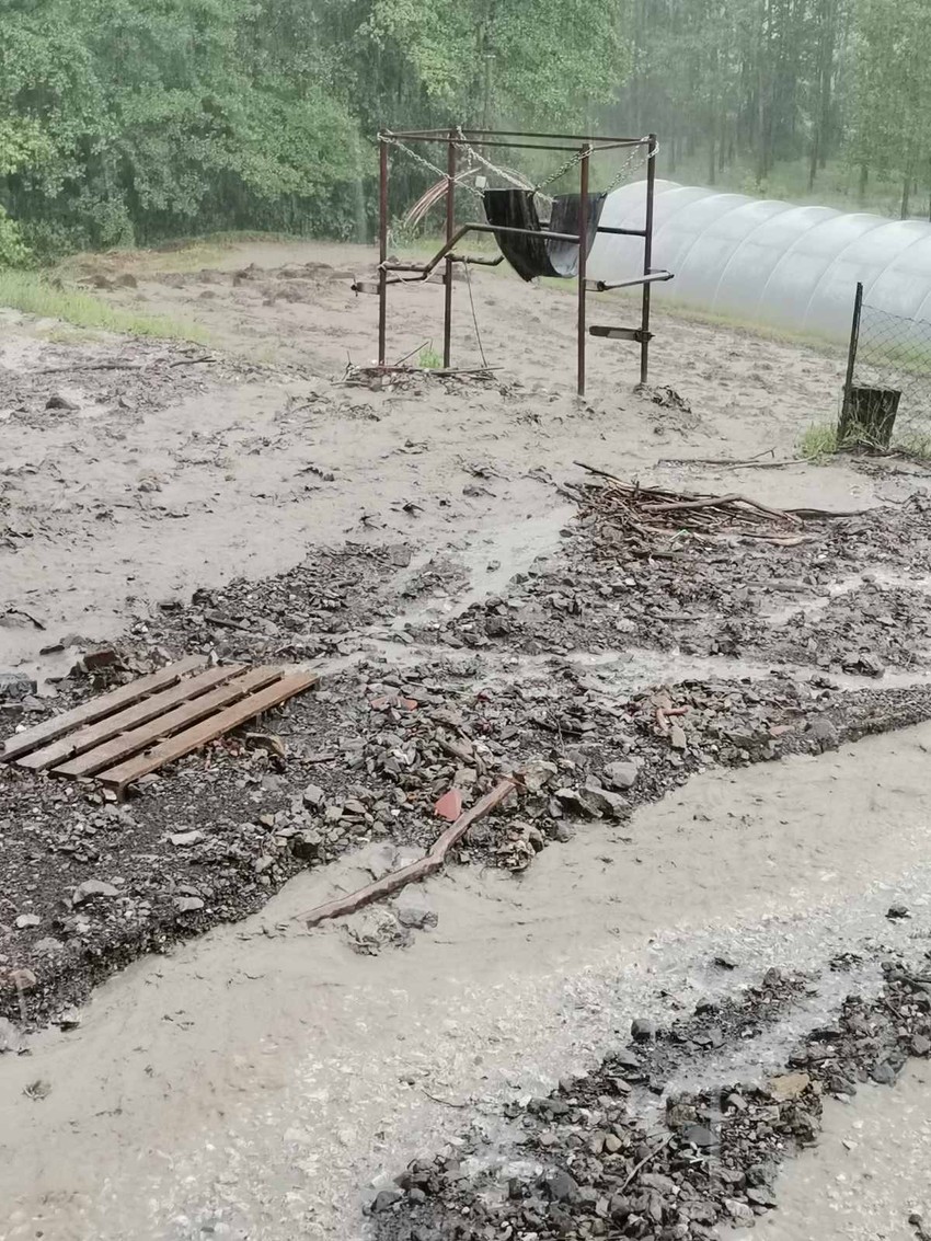 Životinje evakuisane na sigurno