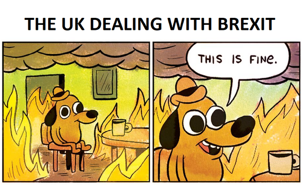 Brexit dog – mem