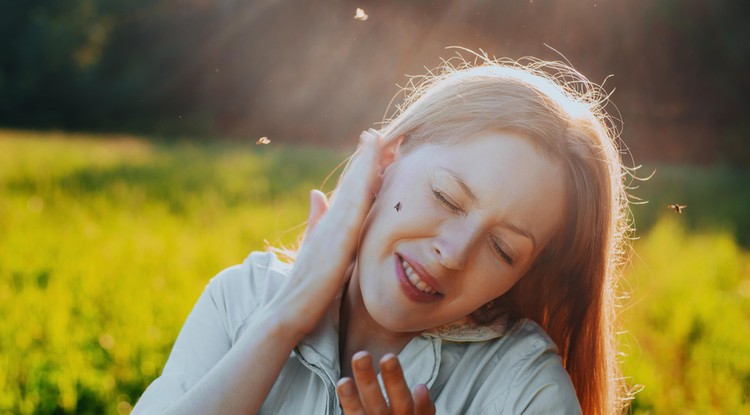 Téged is nagyon csípnek a szúnyogok, Fotó: Shutterstock