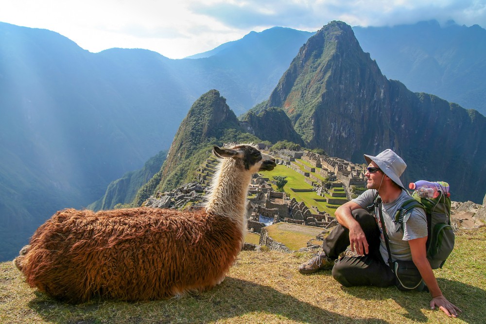 Známa peruánska scenéria - lama a Machu Picchu
