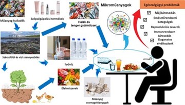Mikroműanyag-források és a mikroműanyagok emberi szervezetbe kerülésének kockázata az egészségre