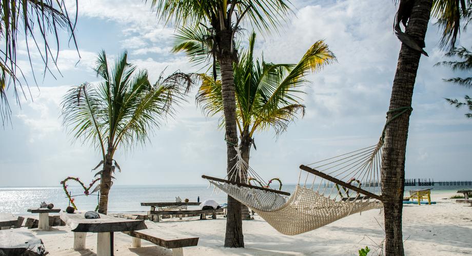 Le Zanzibar, petit paradis sur Terre à visiter en fin d'année / Ákos Helgert 