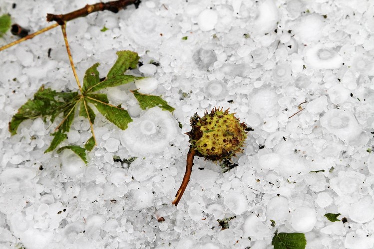W Bukowinie Tatrzańskiej gwałtowna burza z gradem wyrządziła szkody głównie niszcząc samochody, drzewa owocowe i dachy pokryte eternitem