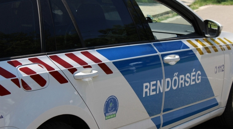 Késsel támadtak egy rendőrre Tolna vármegyében / Fotó: police.hu