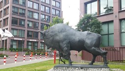 Zielone rozwiązania w Banku Pekao S.A.