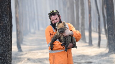 Australia płonie. Co Polacy mogą dla niej zrobić?