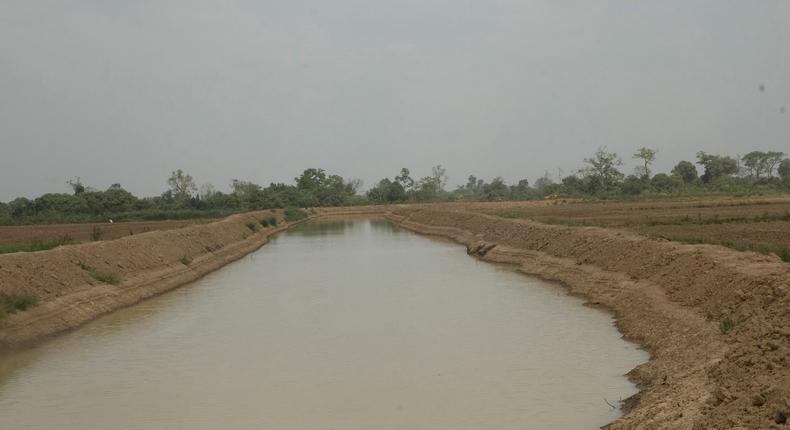 Aveyime rice project risk collapse over irrigation cost, managers warn