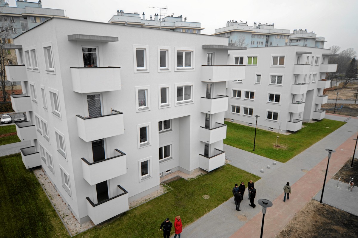 Właściciele zobowiązani są do powołania zarządu, gdy w budynku mieszkalnym jest więcej niż siedem lokali