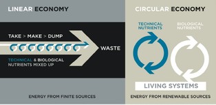 Gospodarka okrężna – to może być największa rewolucja od 250 lat