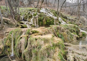 177443816717103347671619189734valjevo-taroska-vrela-fotorina7