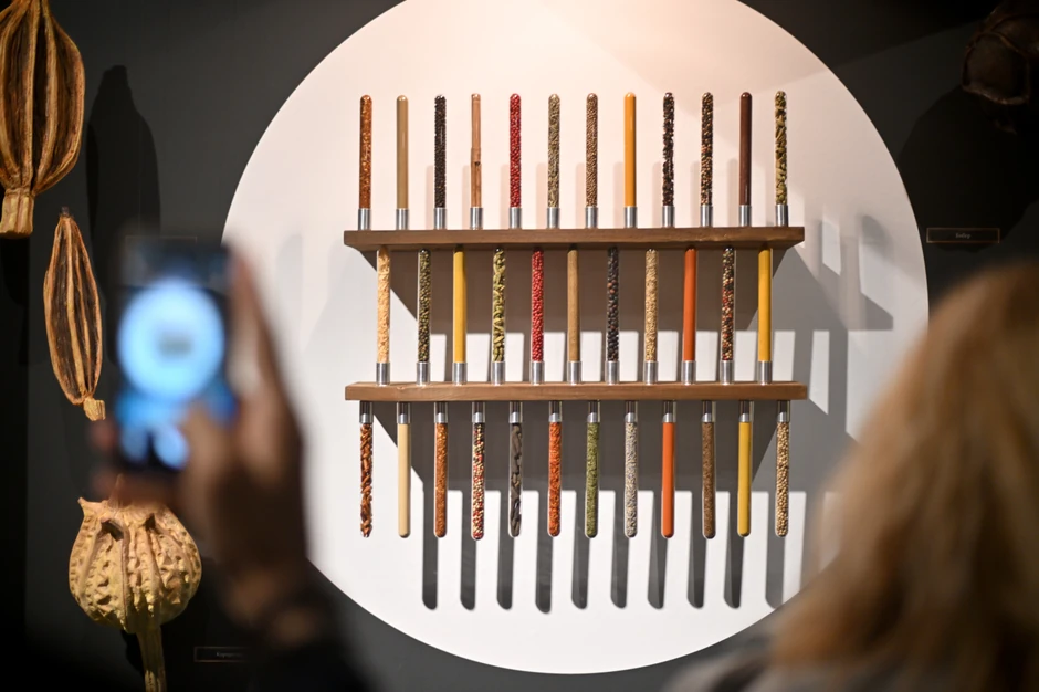 Francuski naziv za smilje je immortelle (besmrtan) jer u sušenom stanju biljka zadržava svoj prvobitni izgled i svojstva 