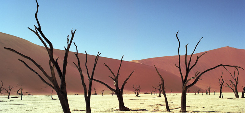 Namibia - Dead Vlei - "martwe bagno"
