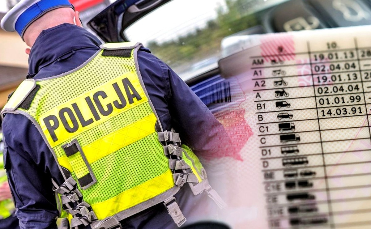 15 mln kierowców musi iść do urzędu. Masz takie prawo jazdy?