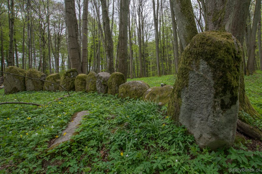 Zapomniany cmentarz Dohnów