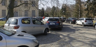 Trudno uwierzyć! Zrobili piękny park, a parkingu brak