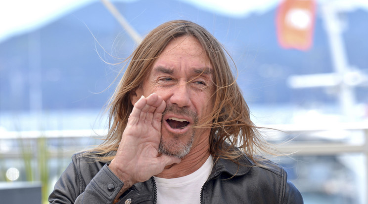 Iggy Pop idén nyáron Budapesten lép fel / Fotó: Northfoto