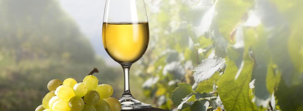 Sommelier Słowo pochodzi z języka francuskiego. Nic w tym dziwnego - Francja powszechnie kojarzona jest jako kraj upraw winorośli i znanych marek win a sommelier to doradca pomagający w doborze tego trunku do potraw. Sommelierem może być także kelner, którego zadaniem w restauracji jest dobranie wina do wybranej przez klienta potrawy. Sommelier czasem zajmuje się również zakupem win bezpośrednio od producentów dla restauracji oraz pomaga układać menu pod kątem oferowanych klientom win. Sommelier czasem mylony jest z kiperem – tymczasem to zupełnie różne profesje. Kiper zawodowo degustuje wina (albo inne trunki) pod kątem smaku, zapachu, wyglądu i jakości.
