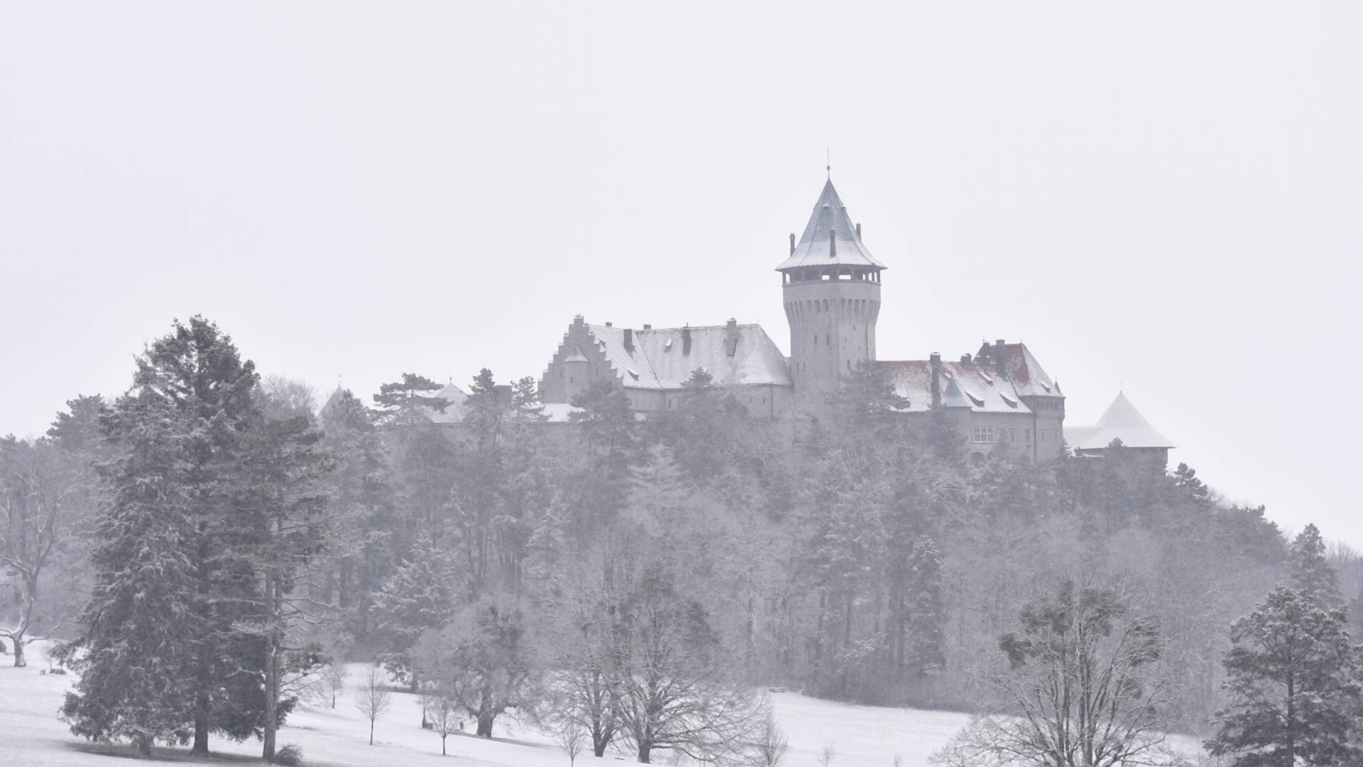 Na Slovensko mieri výdatné sneženie. Niektoré oblasti  môžu očakávať aj snehovú kalamitu