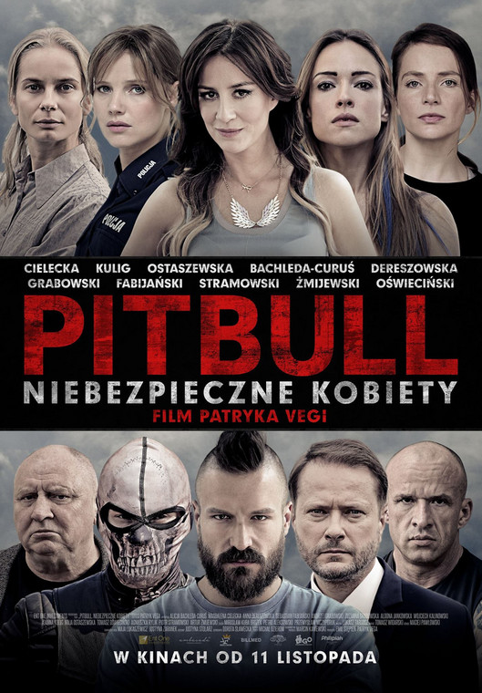 "Pitbull. Niebezpieczne kobiety" - plakat