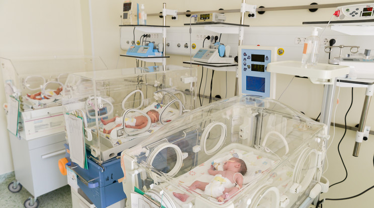 Az újszülött-osztályon titokban zajlott a babakereskedelem /Fotó: Shutterstock