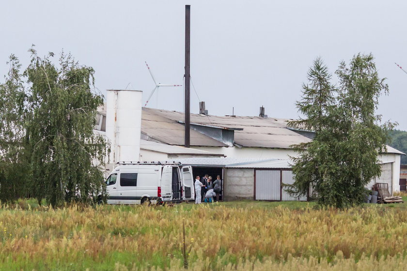 Egzekucja na fermie drobiu. Wpakował w Piotra cały magazynek. Tłumaczył się psychozą i prześladowaniem