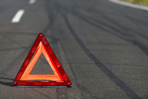 Polak zginął we Włoszech w wypadku na autostradzie, na którą weszły dziki