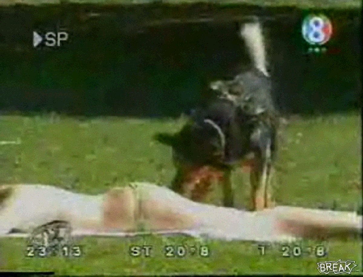 Dziewczyny w bikini i niepoprawny piesek