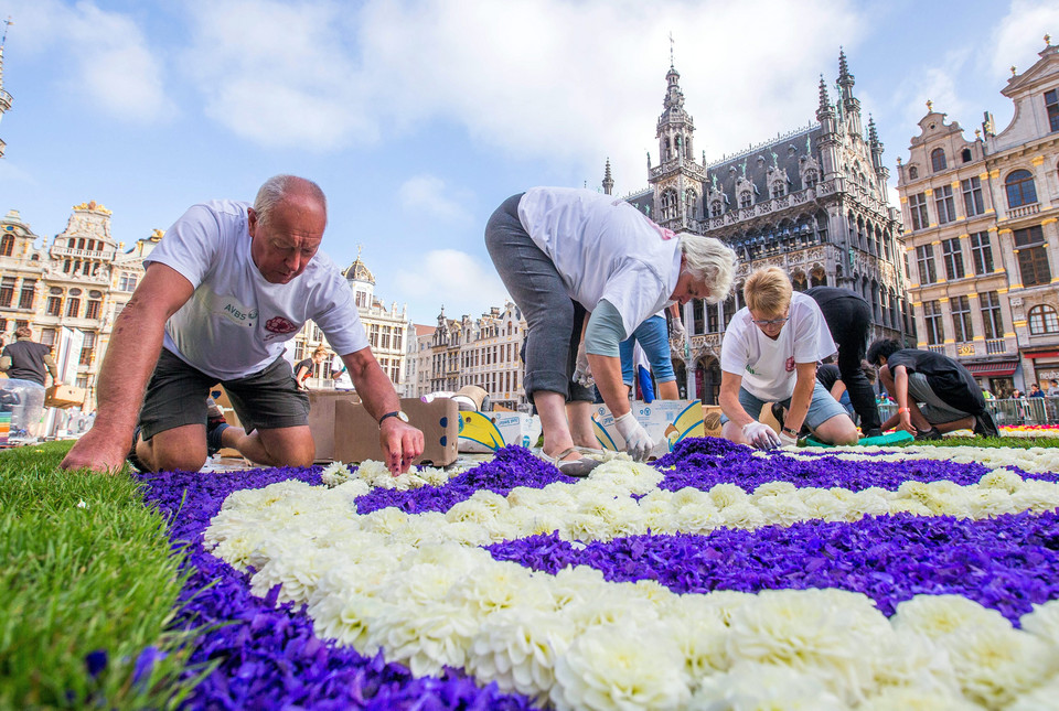 BELGIUM GIANT FLOWER CARPET (20th giant flower carpet in Brussels)