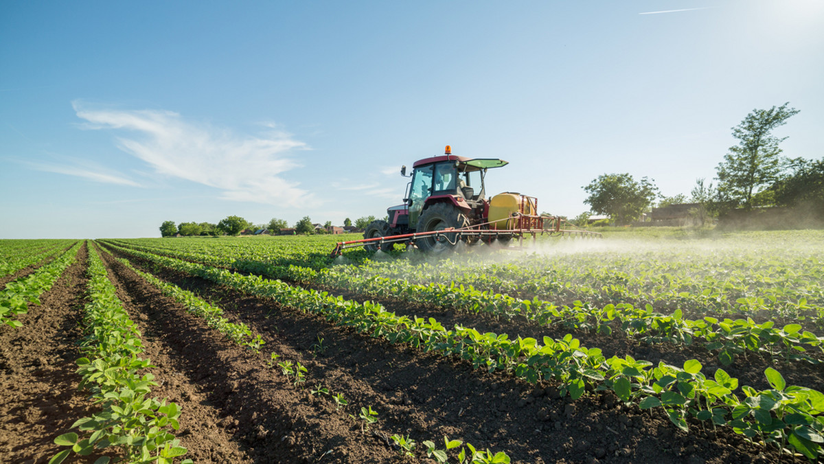 Michał Łuczewski: polscy chłopi stają się farmerami 