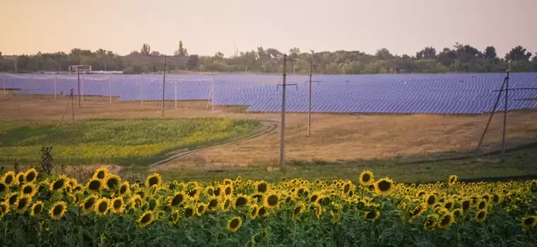 Rosjanie kradną panele słoneczne. Wywieźli największą elektrownię słoneczną na Ukrainie