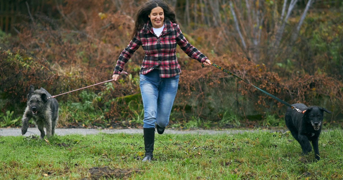 Afera w poznańskim zoo. Święta Ewa od zwierząt i jej grzechy