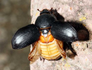 Co można robić, gdy ma się za dużo pieniędzy