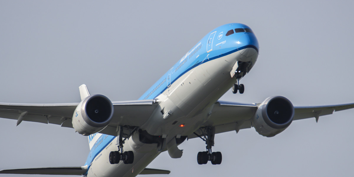 Boeing 787 linii KLM leciał do Los Angeles przed powrotem do Amsterdamu.
