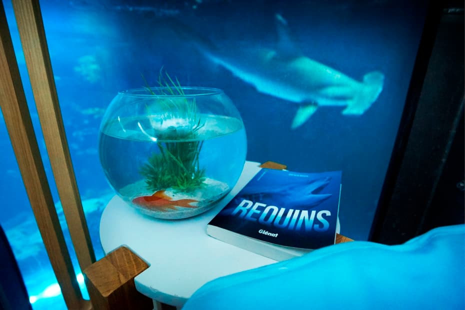 Aquarium De Paris