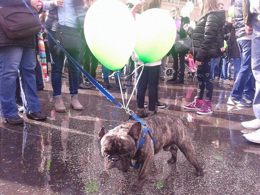 Trg republike: Zeleni baloni u znak podrške deci obolele od raka