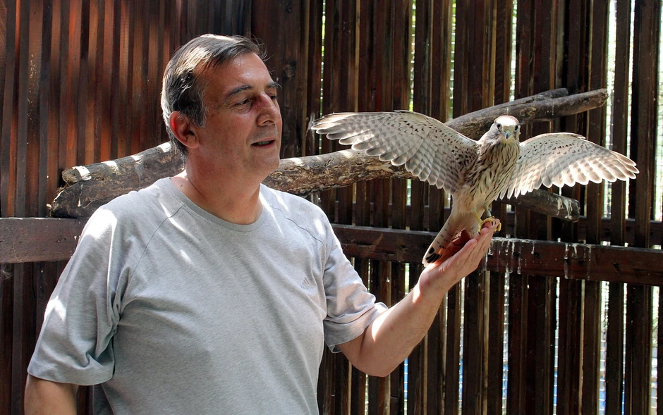 Jedna vetruška se iz navike tri meseca vraćala po hranu u Institut