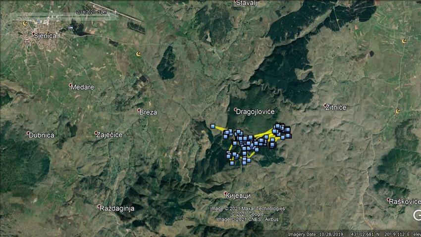 Odašiljač registrovao beloglavog supa u najhladnijem delu Pešteri