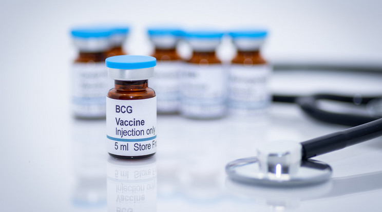 A BCG vakcina segíthet pontosan megérteni, hogy a légúti fertőzések ellen hogyan védekezik az immunrendszerünk. Ez pedig az oltások forradalmian új generációjához vezethet. / Fotó: Getty Images