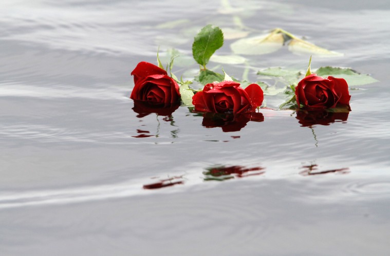 Utoya. Wyspa, na której Breivik dokonał masakry