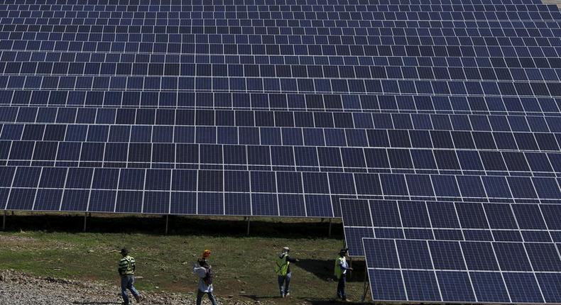 Workers walk past newly installed solar panels at the Honduran Solar Energy Company SA (COHESSA) and Solar Power SA (Soupy) solar power plant in Nacaome, Honduras, May 12, 2015.  REUTERS/Jorge Cabrera