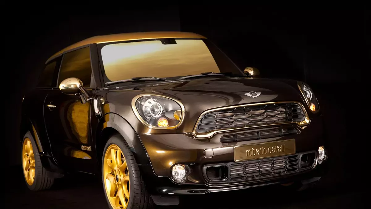 Mini Paceman